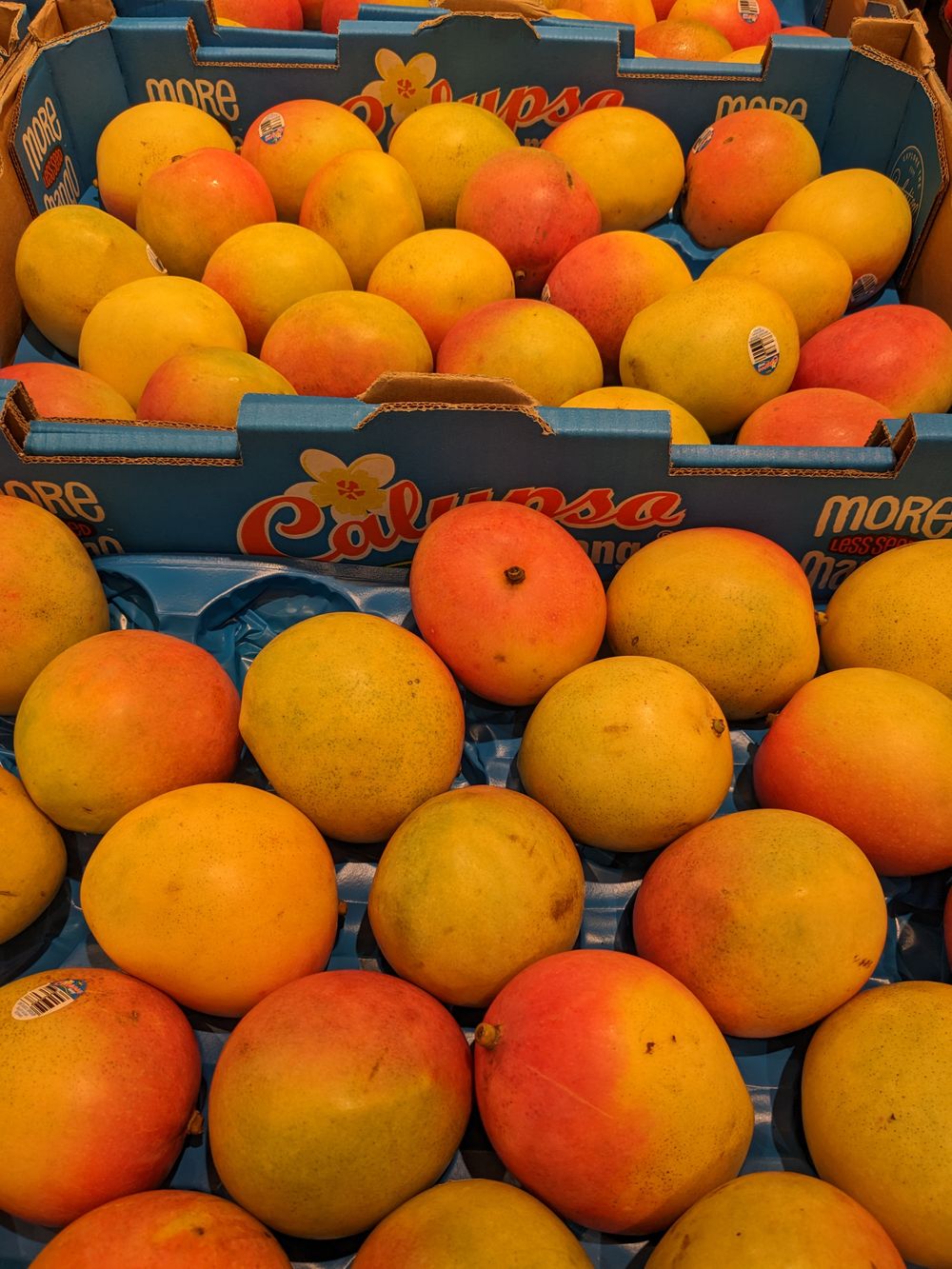 What's in season in January post image