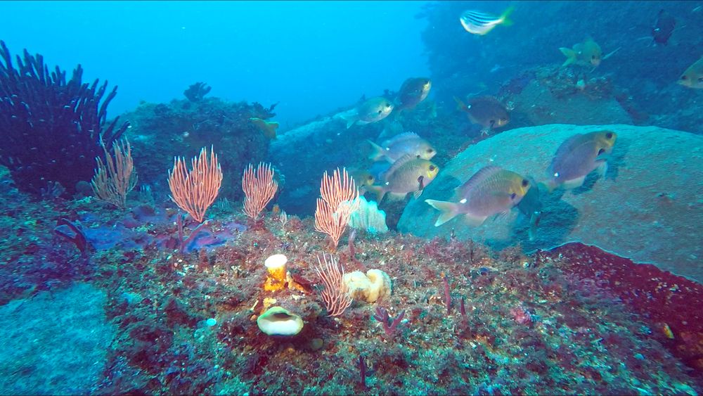 Hello Fish: waiting for the water to clear post image