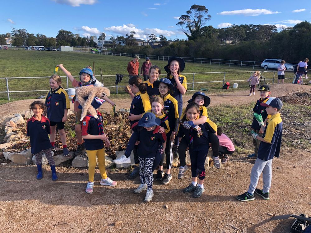 Scouts explore habitats post image