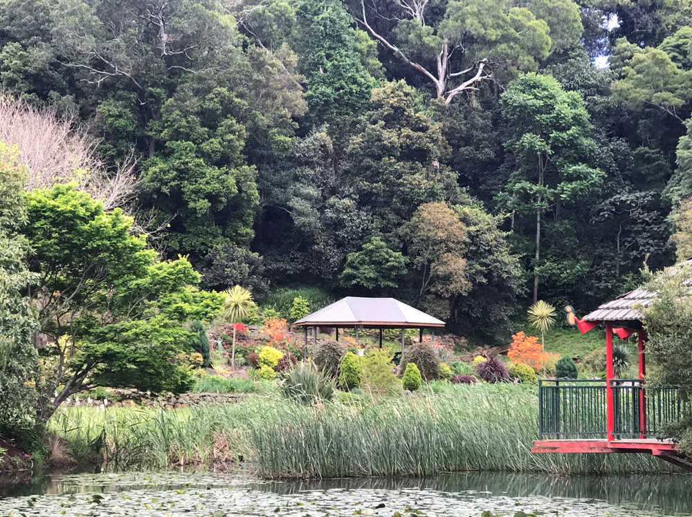 Picnic time for young and old this spring post image
