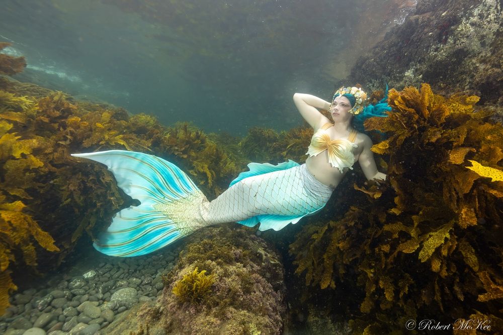 Siren Song: Meet Shellharbour mermaid Bonnie Harris post image