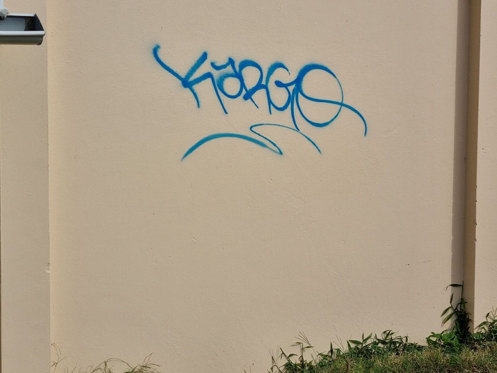 Thirroul Village Committee's Update in April post image