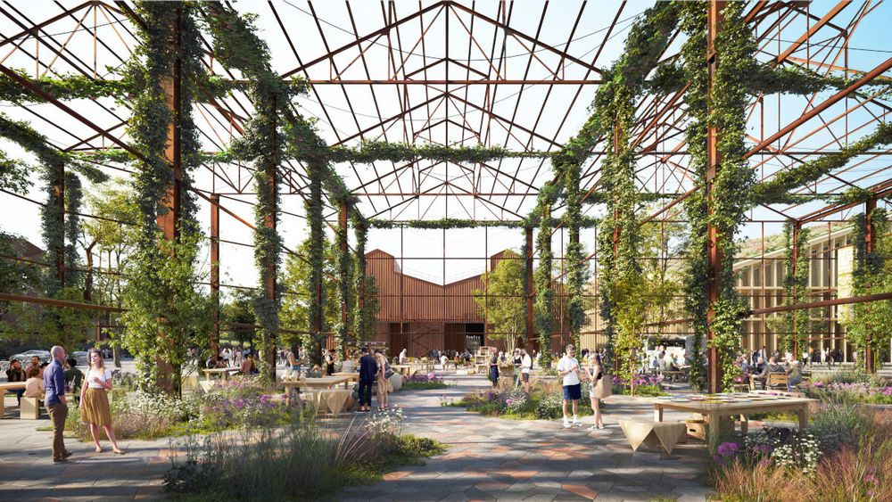 Your chance to learn more about the Illawarra's grand museum vision post image