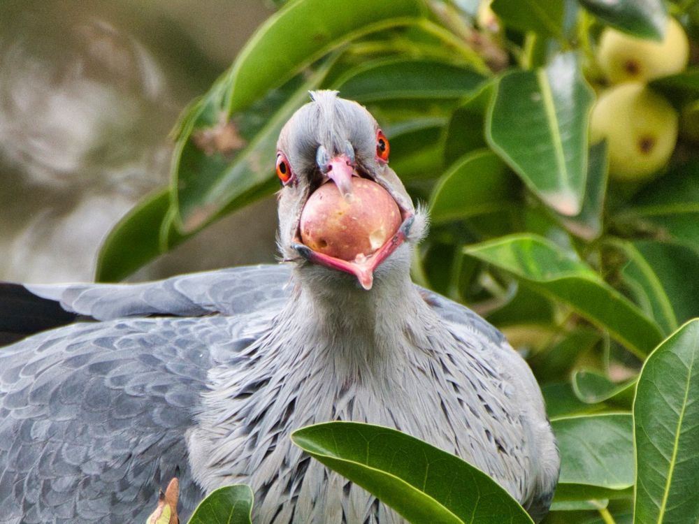 Hello, Wednesday readers post image