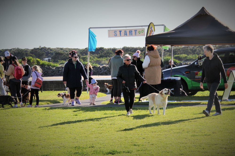 RSPCA Million Paws Walk returns to Lake Illawarra post image