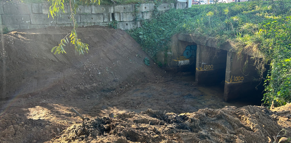 Wild weather preparations underway post image