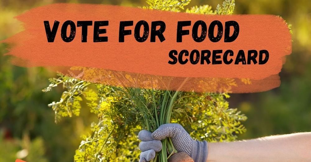 Vote for Food this election post image