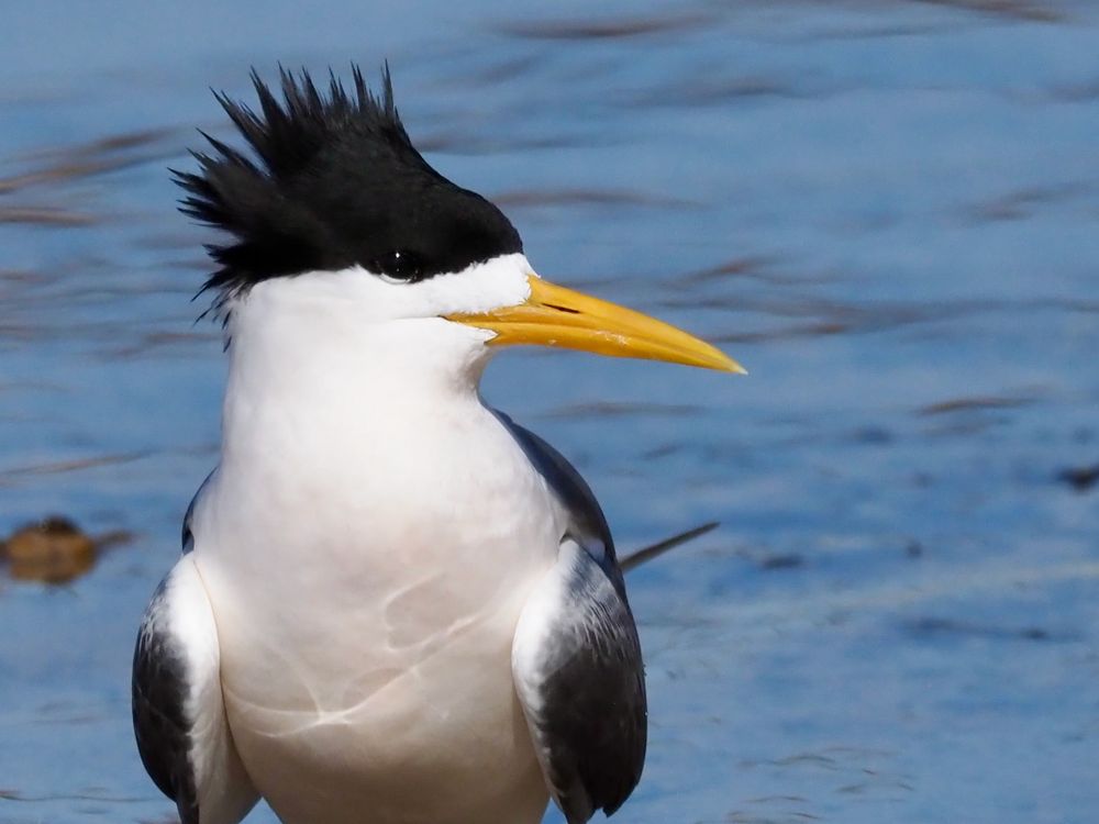 Who wants to be in my club? post image