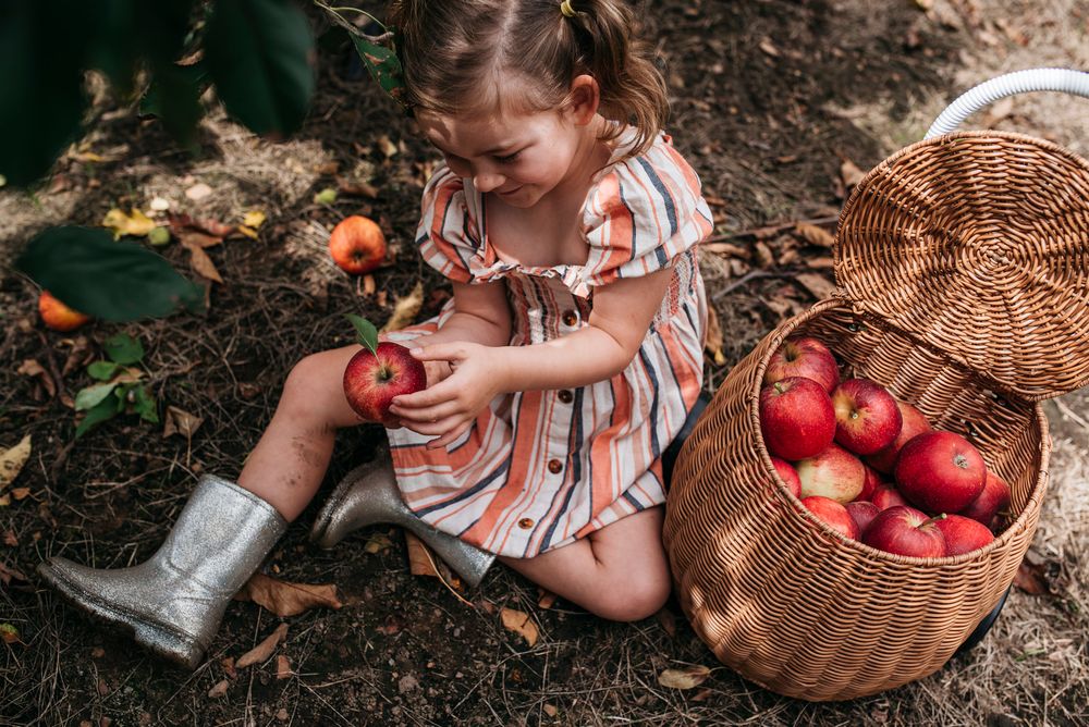 What’s on at the orchard post image