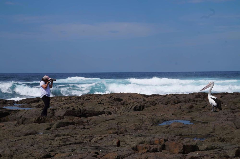 My 3 favourite wild experiences post image