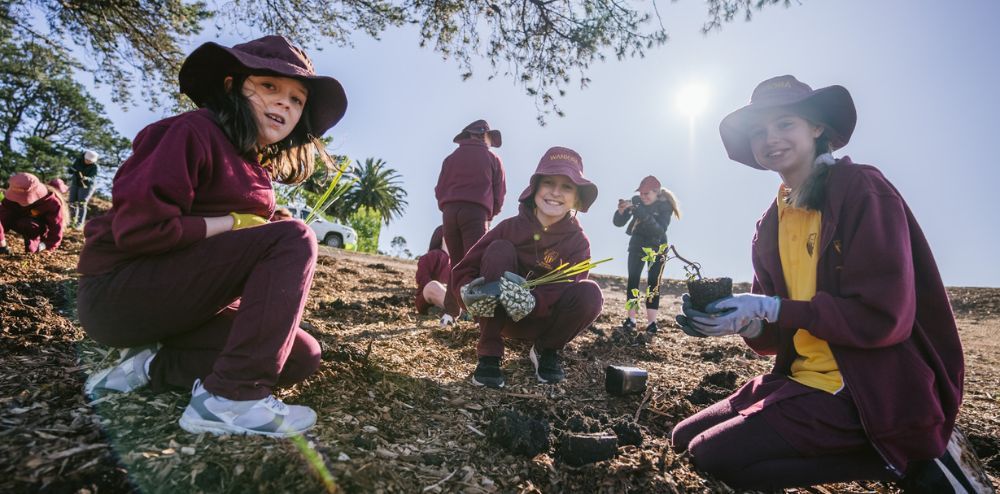 Youth nature-writing prize branches out post image