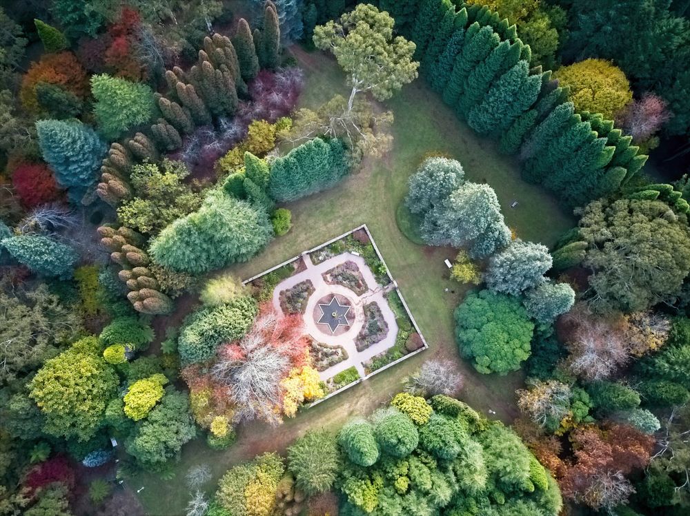 Photographer Geoff Smith shoots 'For the Love of Trees' post image