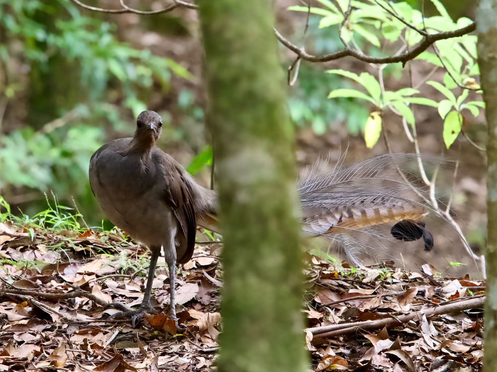 Winter is coming. Here's how to make it a wild one post image