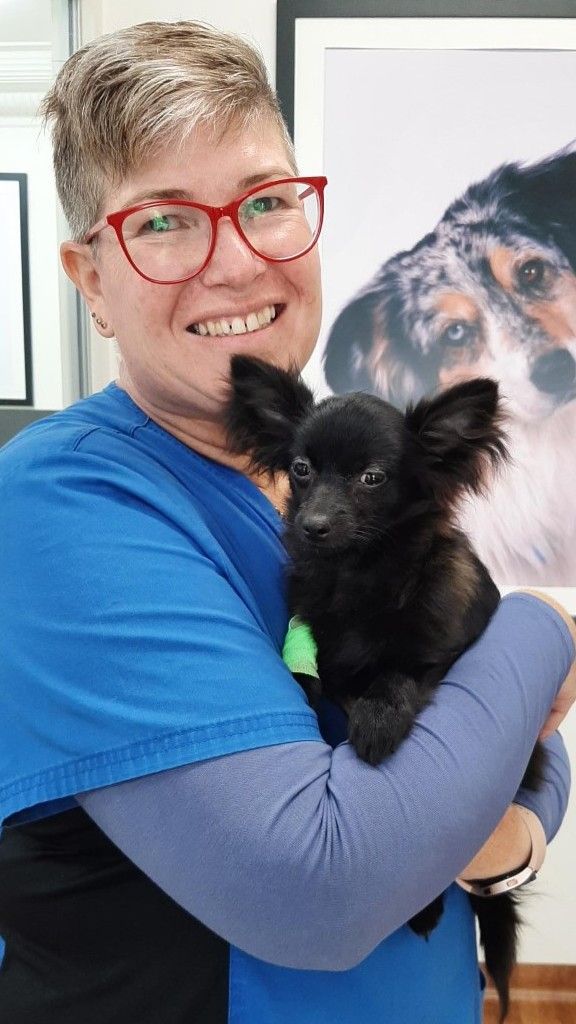 Tips for choosing a family fur-child post image