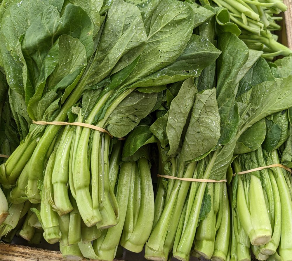 Let’s talk about Asian greens post image