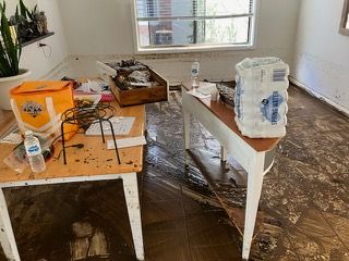 After the storm: Acts of kindness in Thirroul post image