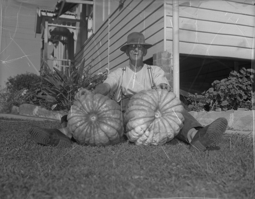 From big veg to big guns: A photographic history of Wollongong post image