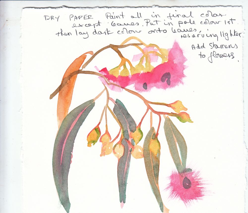 Just add water post image