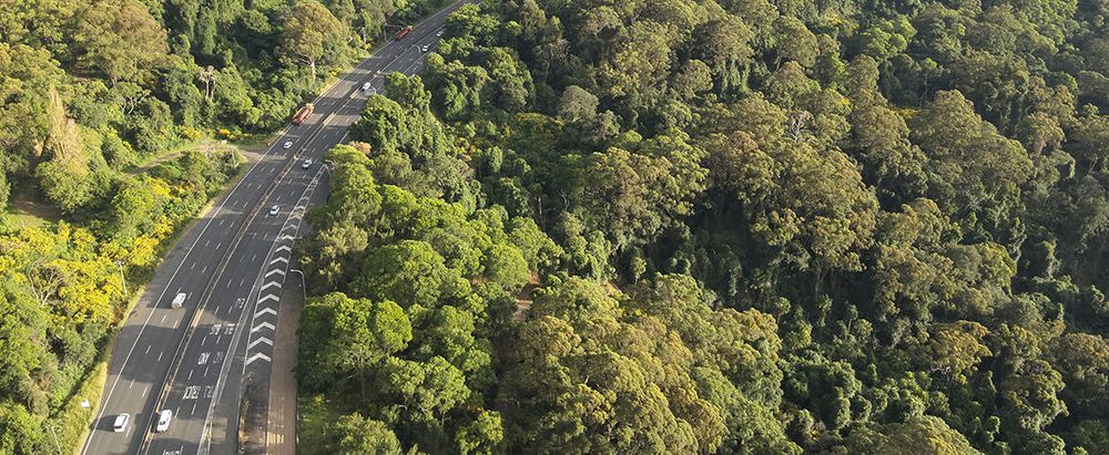 Have your say on safety and reliability projects in planning for Mount Ousley post image