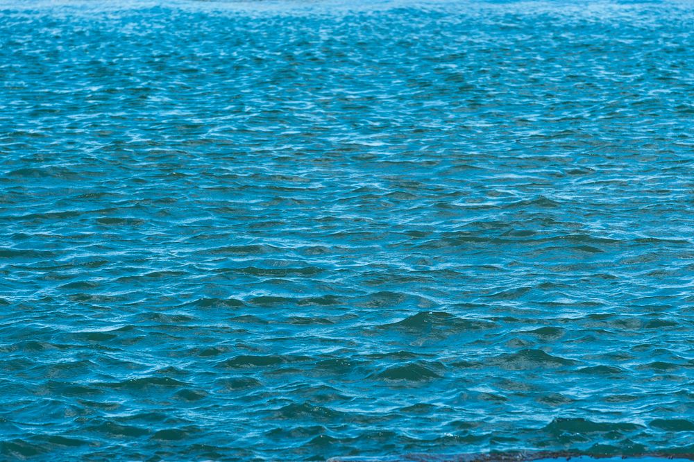 We now have a treaty governing the high seas. Can it protect the Wild West of the oceans? post image