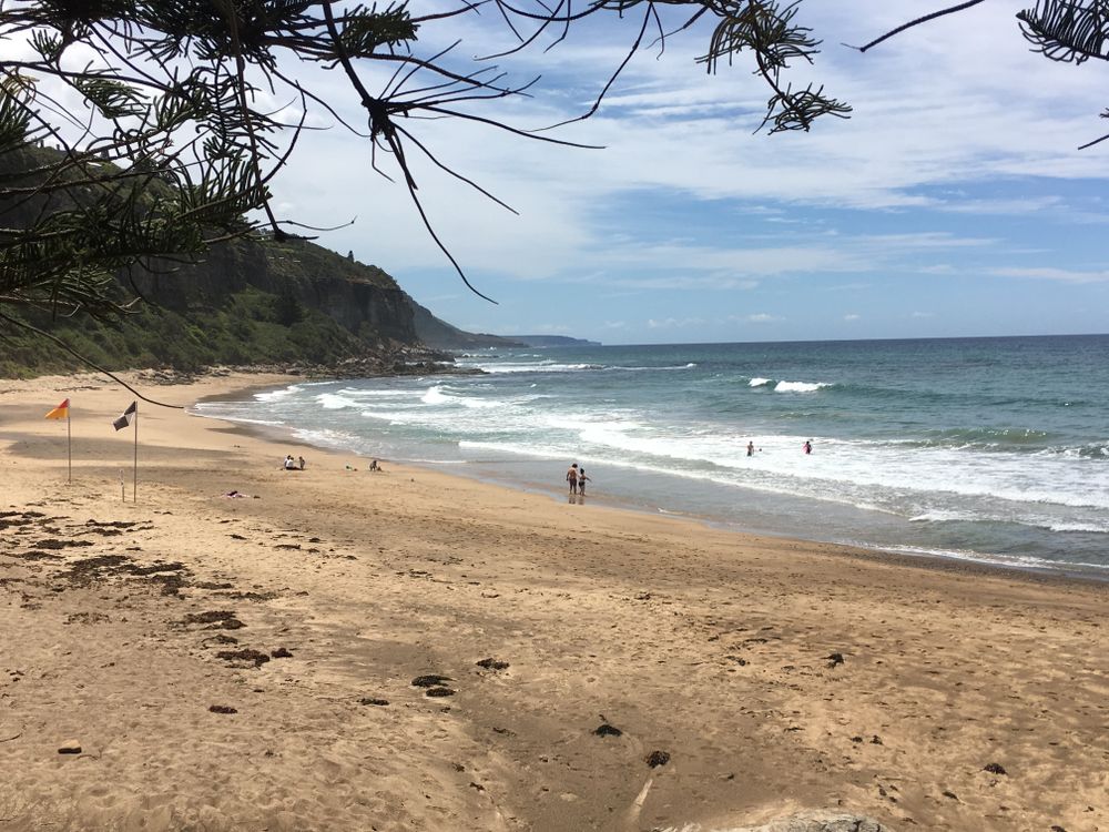 Dr Rip’s Science of the Surf post image