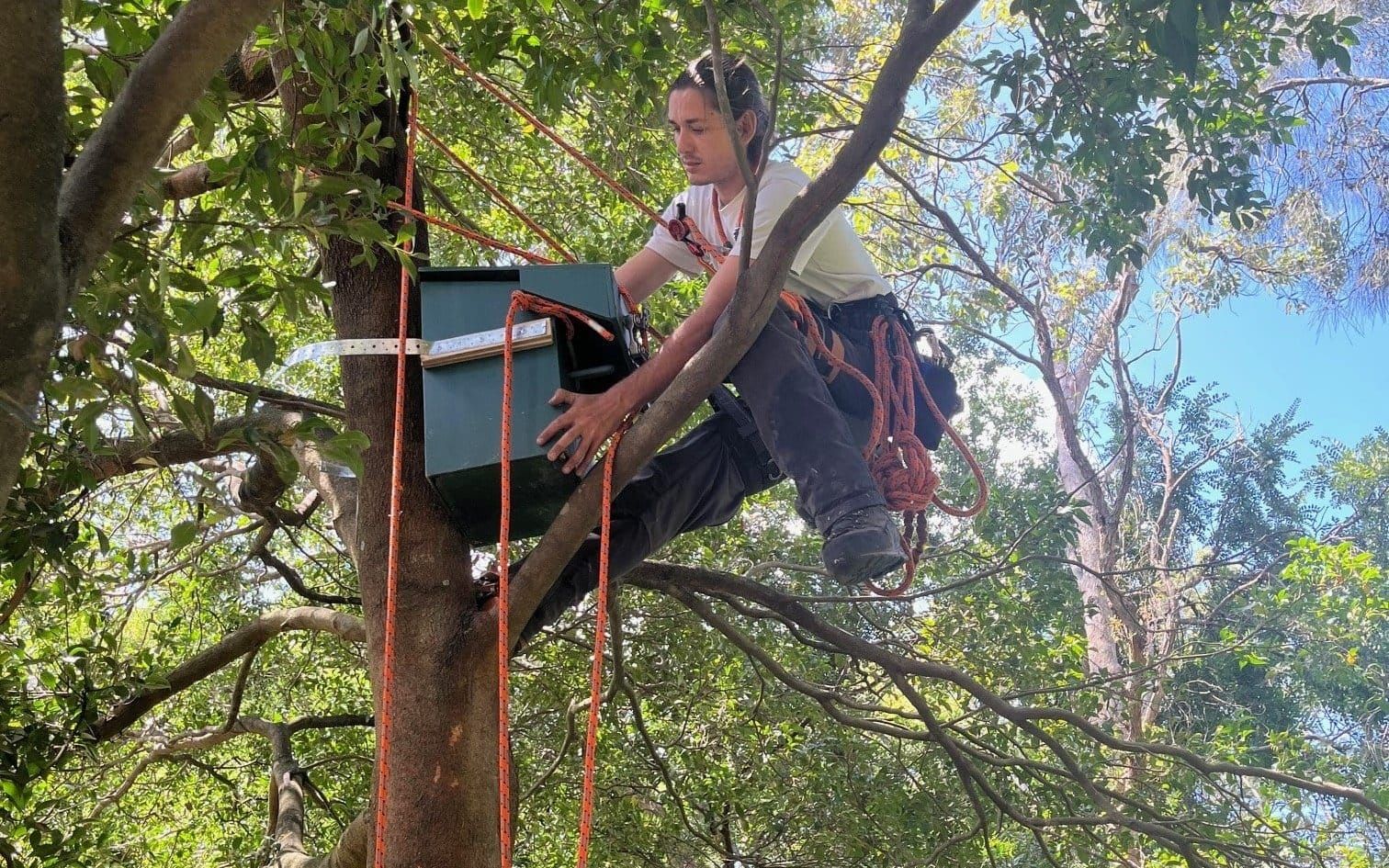 New digs for possums post image