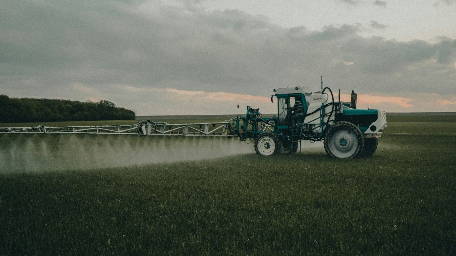Cheap, effective and dangerous: how Australian farmers came to depend on the toxic weedkiller paraquat post image