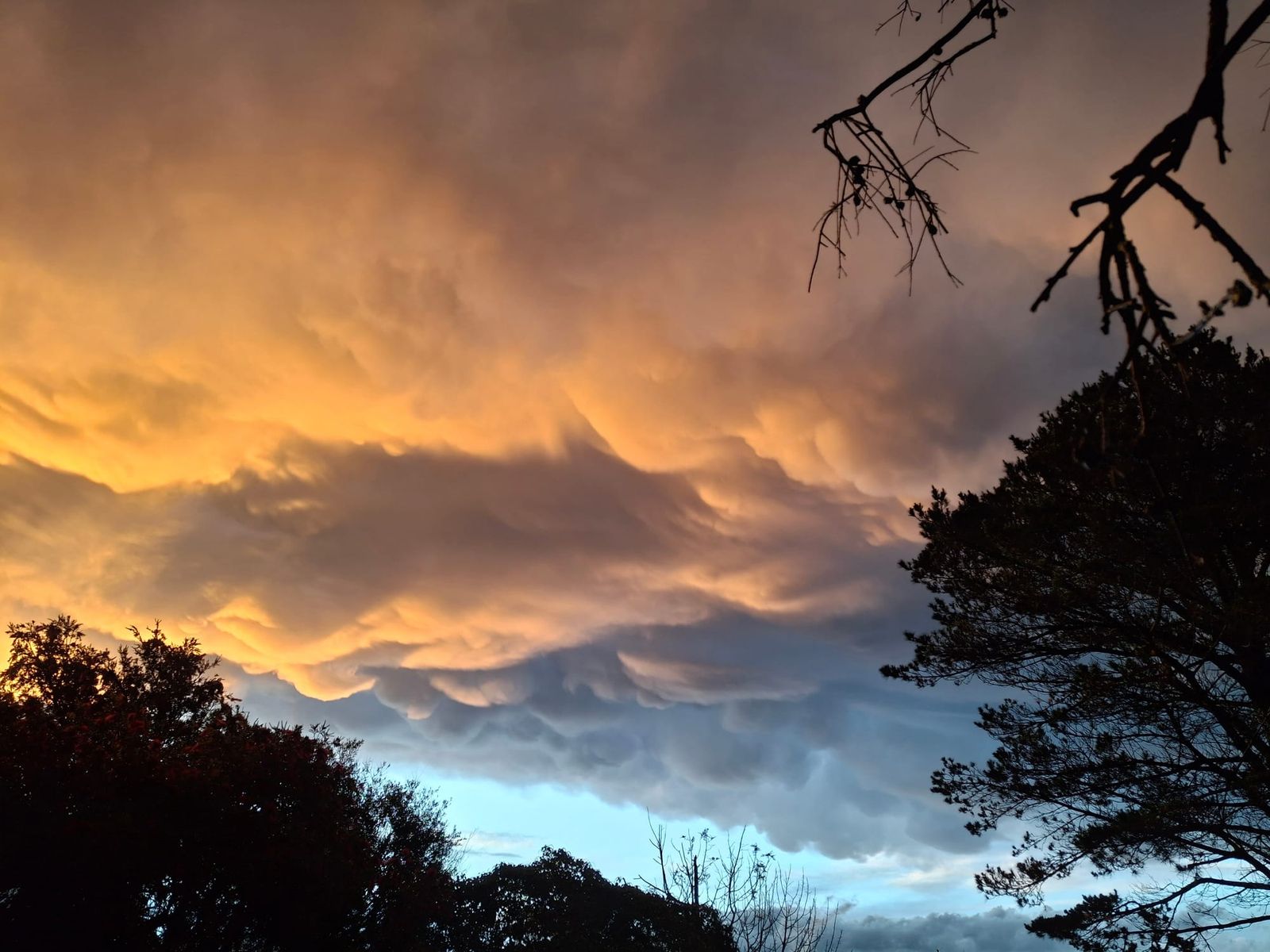 New preppers guide for health sector as climate hazards rise post image