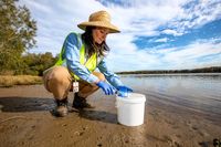 Surveys reveal remarkable biodiversity in Illawarra waterways post image