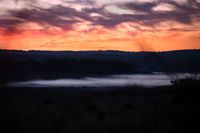Wisps of magic in rare fog - and where to find it post image
