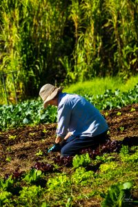 What a farm teaches you about patience post image