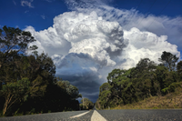 Thunderstorm 101: Danger signs post image