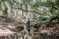 New book examines 'social glue' to fix Australia's $5bn a year weed problem post image