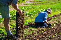 Why volunteering might be the best thing you can do for yourself post image