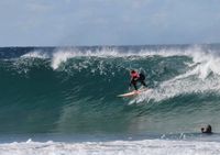 Rare day at Wombarra Reef post image