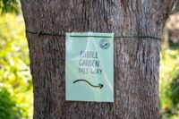 Meet two hosts showing how to grow your own food post image