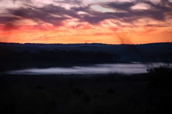 Wisps of magic in rare fog - and where to find it post image
