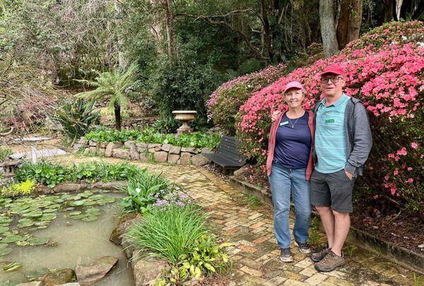 From rhododendrons to rainforest, Wollongong's secret garden is blooming post image