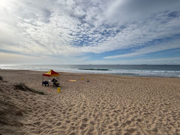Dr Rip’s Science of the Surf: Shark fear post image