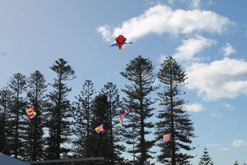 Thirroul Seaside and Arts Festival is back this weekend post image