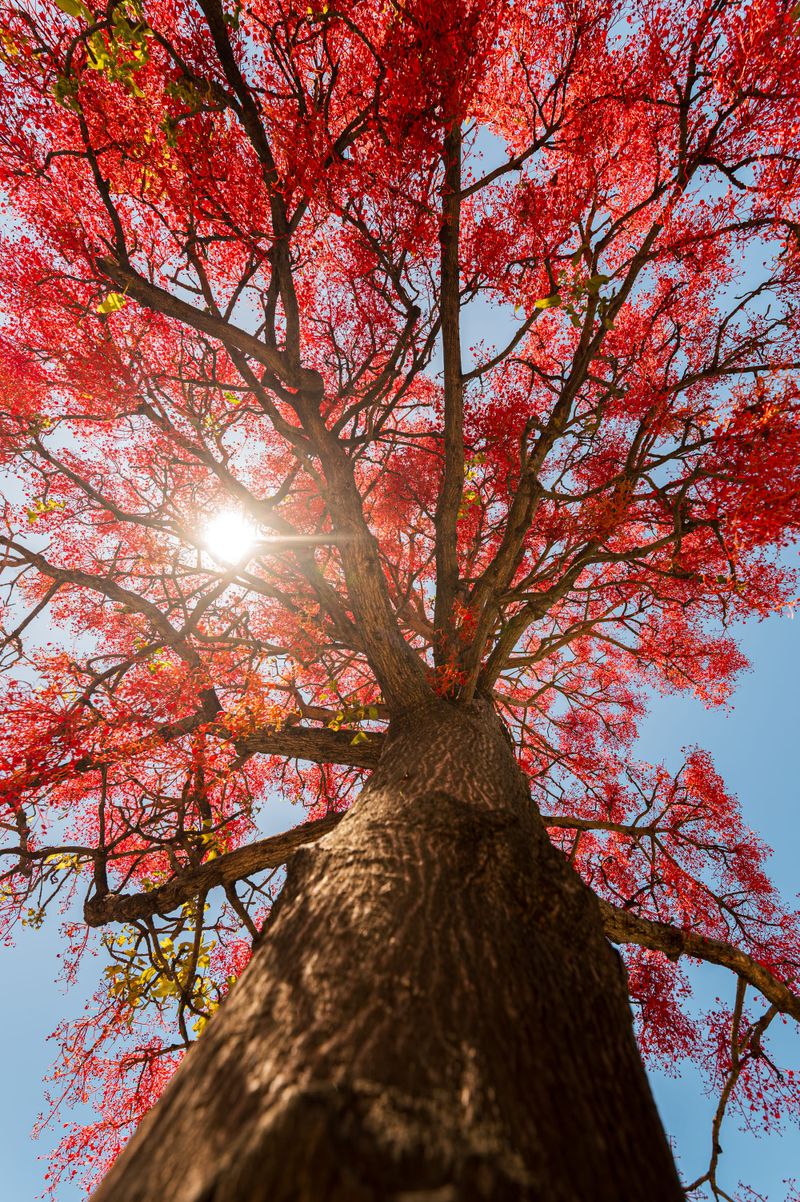 Humans of the Illawarra, have your say post image