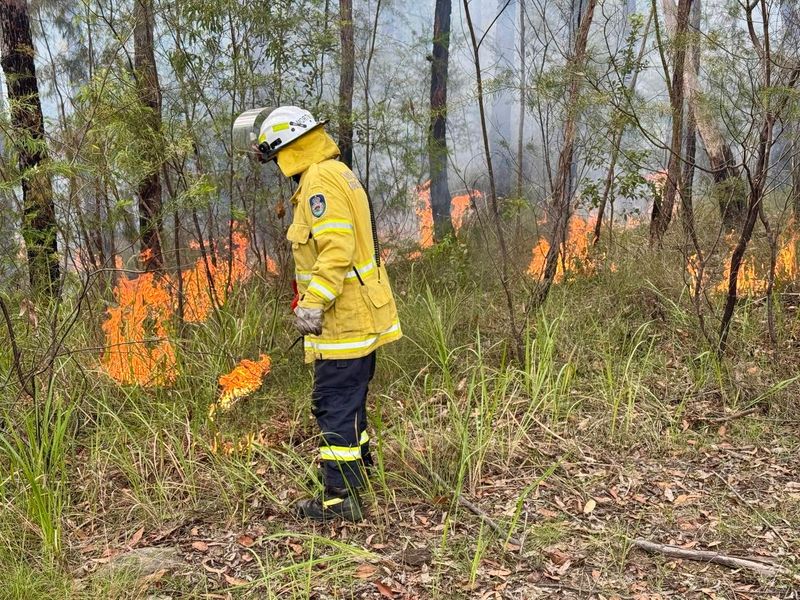 Hazard reduction burn for Illawarra highlands area post image