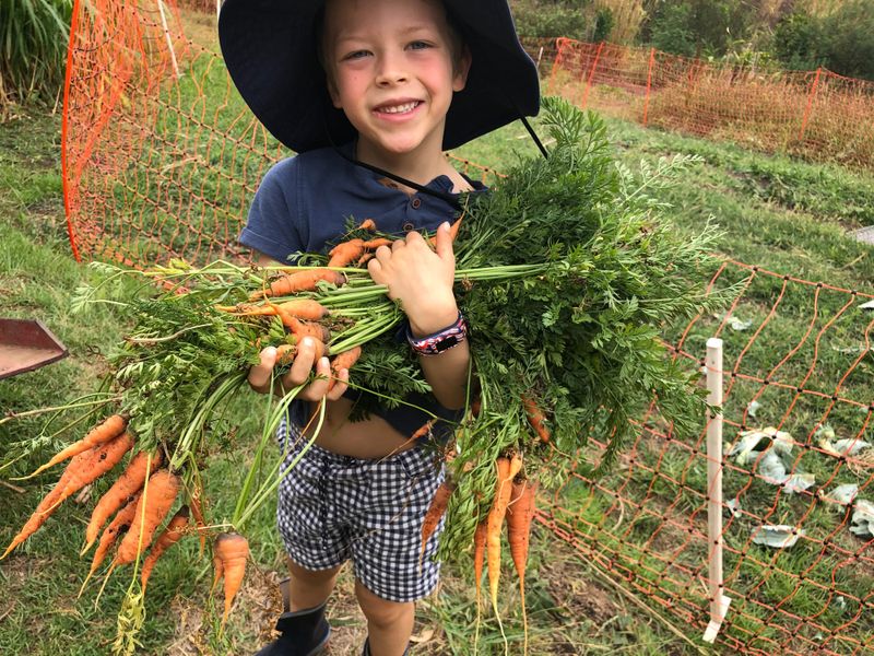 Growing your food matters more than ever post image