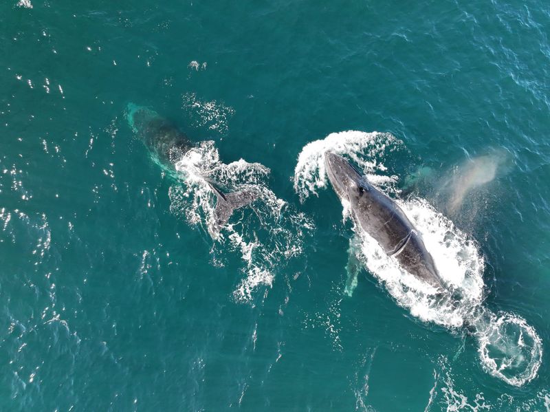 Five Islands nature tour returns with UNESCO endorsement post image