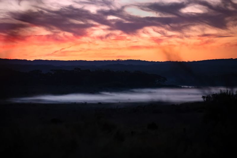 Wisps of magic in rare fog - and where to find it post image