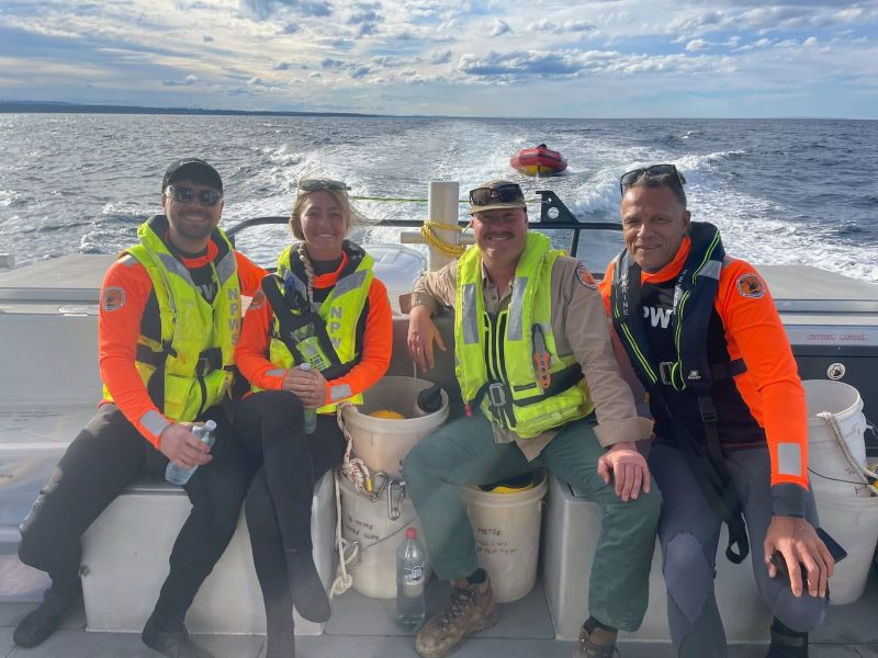 One whale freed, another still entangled post image