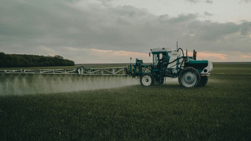Cheap, effective and dangerous: how Australian farmers came to depend on the toxic weedkiller paraquat post image