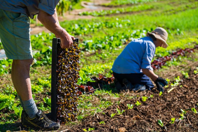 Why volunteering might be the best thing you can do for yourself post image