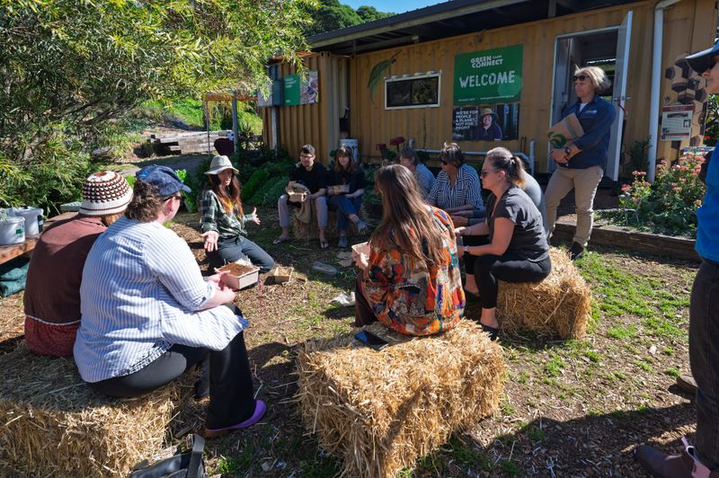 Community flocks to urban farm for sustainability showcase post image