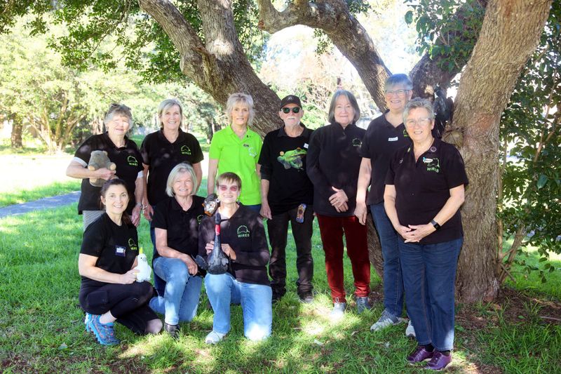 Called to care: Volunteers mark 40 years of WIRES post image